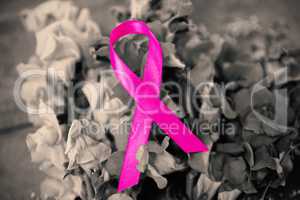 Close-up of pink Breast Cancer Awareness ribbon on flowers