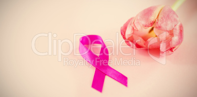 High angle view of Breast Cancer Awareness ribbon with tulip