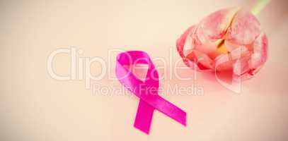 High angle view of Breast Cancer Awareness ribbon with tulip