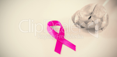 High angle view of Breast Cancer Awareness ribbon with tulip