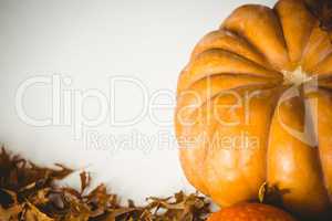 High angle view of orange pumpkin by autumn leaves