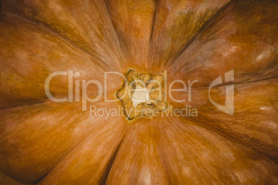 Close up of pumpkin