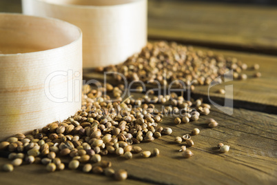 Plastic bowls and coriander seeds scattered