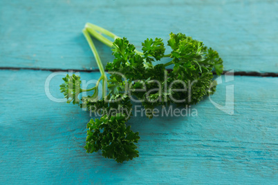 Fresh coriander leaves on wooden table