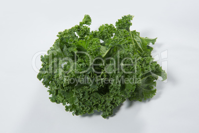 Close up of fresh green kale leaves