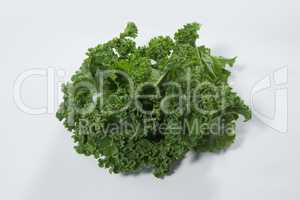 Close up of fresh green kale leaves