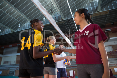 Female players shaking hands after match