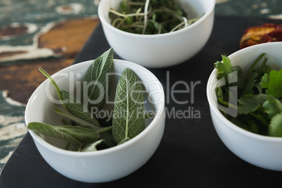 Close-up of various herbs