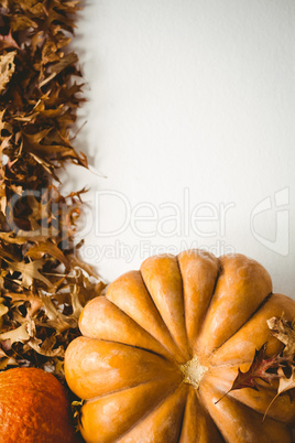 Overhead view of pumpkin and squash by autumn leaves