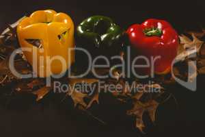 Carved bell peppers with autumn leaves over black background