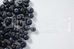 Blueberries on a white background