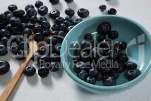 Blueberries in a bowl on white background