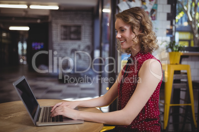 Smiling young beautiful female customer using laptop at table