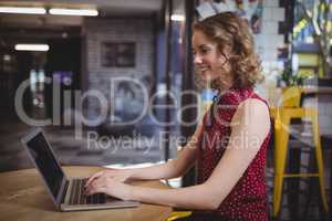Smiling young beautiful female customer using laptop at table