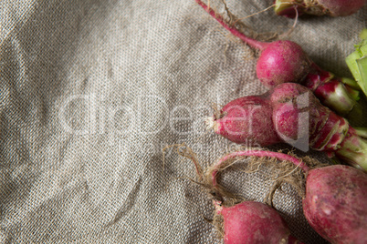 Close-up of red radishes