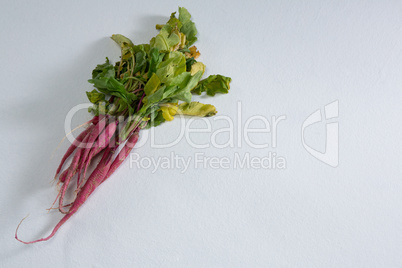Root vegetable on a white background