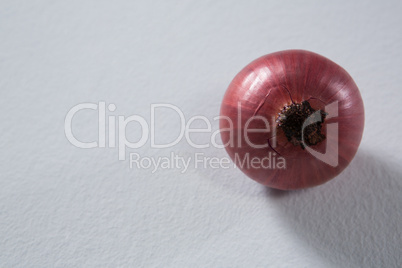 Onion on a white background