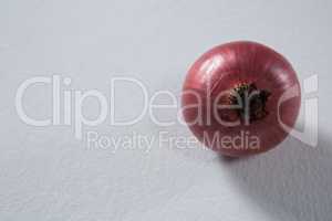 Onion on a white background