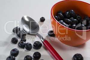 Blueberries in a bowl on white background