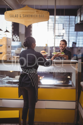 Rear view of waitress taking food plates from waiter at counter