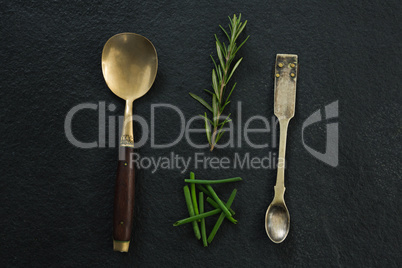 Various serving spoons with herbs