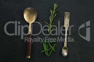 Various serving spoons with herbs