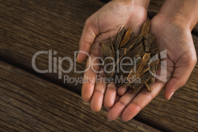 Hands holding cinnamon sticks against wooden table