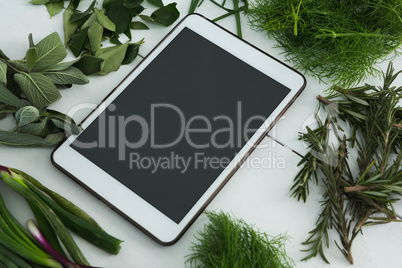 Various herbs with digital tablet on white background