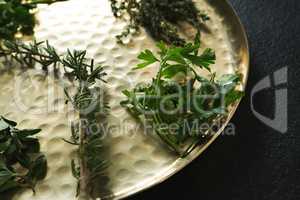Various type of herbs in plate