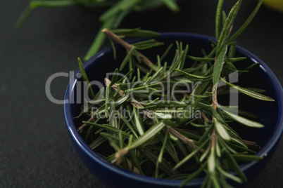 Rosemary herb in a bowl