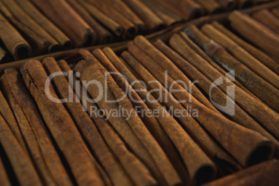 Cinnamon sticks arranged in a row