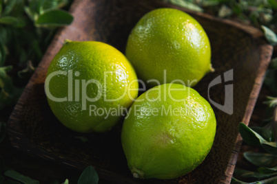 Lime fruits in a bowl with herbs