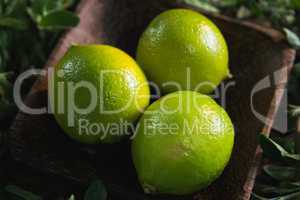 Lime fruits in a bowl with herbs