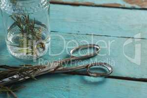 Rosemary and scissors on wooden table