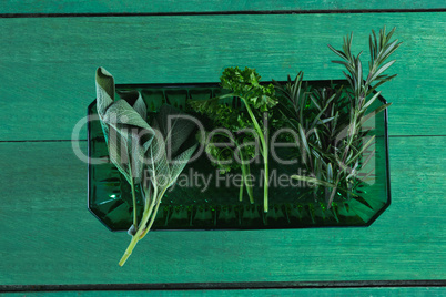 Various type of herbs in plastic tray