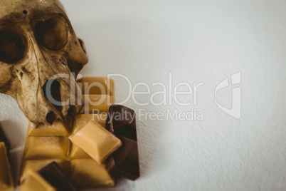 High angle close up of human skull with chocolate bars