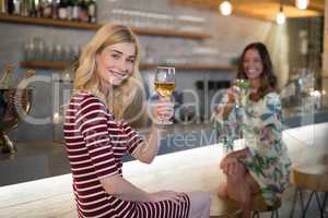 Portrait of female friends having drink at counter