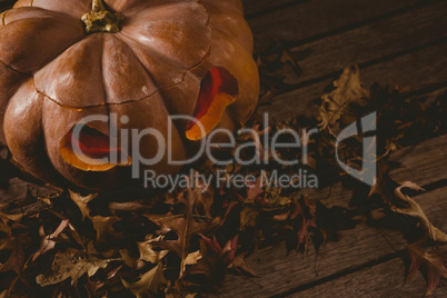 High angle view of jack o lantern with autumn leaves