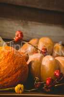 Pumpkins with plant stems on table