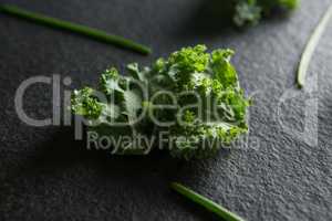 Close up of fresh kale on slate