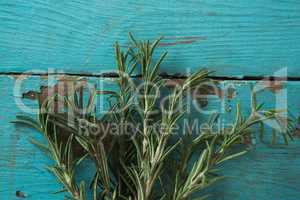 Rosemary on wooden table