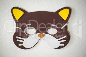 Overhead view of cat mask