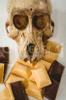 Close up of human skull with chocolate bars