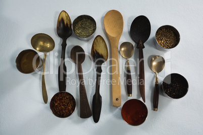 Various type of spoons with spices in bowl