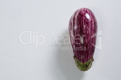 Eggplant on a white background