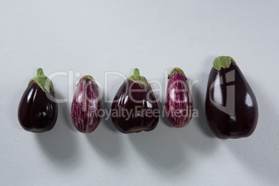 Eggplants arranged on a white background
