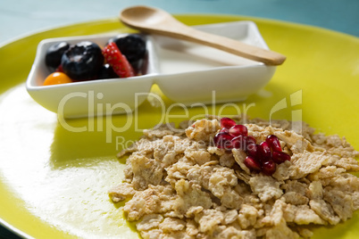 Fruits, yogurt and wheat flakes in plate