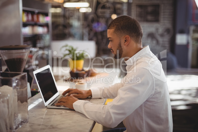 Side view of young male owner using laptop at counter