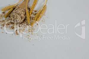 Breakfast cereals and barley on white background