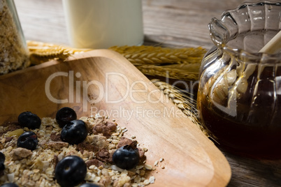 Oats and berry in plate with jar of honey